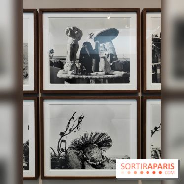 En ces lieux : la photographe contemporaine Jo Ractliffe expose au Jeu de Paume, nos images - fotor 1769690187588