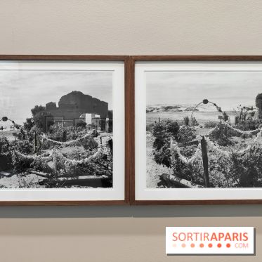 En ces lieux : la photographe contemporaine Jo Ractliffe expose au Jeu de Paume, nos images - fotor 1769690202910
