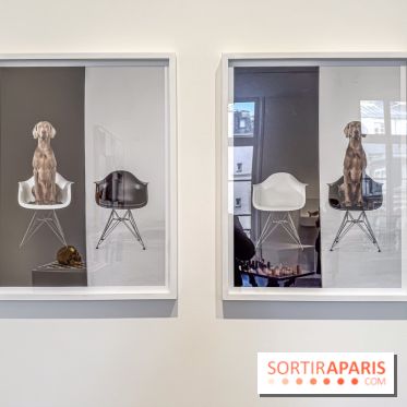 Exposition Un Siècle d'Echecs à la Galerie Perrotin