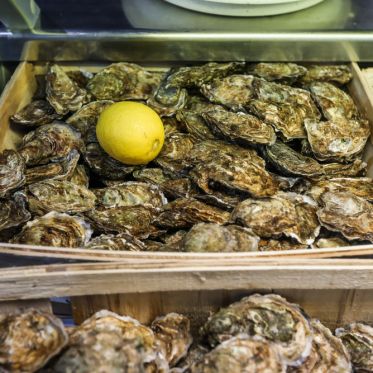 Carnavals de France à l’Hippodrome Paris-Vincennes : défilés, courses et Miss France 2026 - BV 20250209142900BV  4707