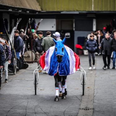 Carnavals de France à l’Hippodrome Paris-Vincennes : défilés, courses et Miss France 2026 - BV 20250209150121BV  4950