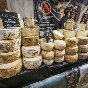 Carnavals de France à l’Hippodrome Paris-Vincennes : défilés, courses et Miss France 2026 - BVdV BV1 3602