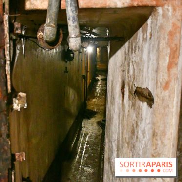 Les Caves du Roi, les mystérieux souterrains sous Sèvres