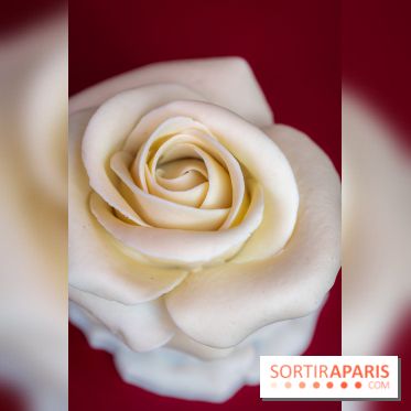 Saint-Valentin 2026 : la boulangerie - chocolaterie Pleincœur célèbre le mois de l'amour