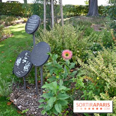 Le jardin des cinq sens à Pontoise, un lieu bucolique et sensoriel !