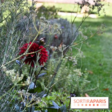 Le jardin des cinq sens à Pontoise, un lieu bucolique et sensoriel !