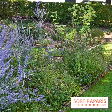 Le jardin des cinq sens à Pontoise, un lieu bucolique et sensoriel !
