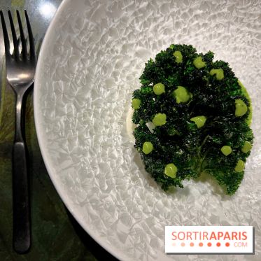 Mantra - Chou rave, kale, coco fermentée, crevettes