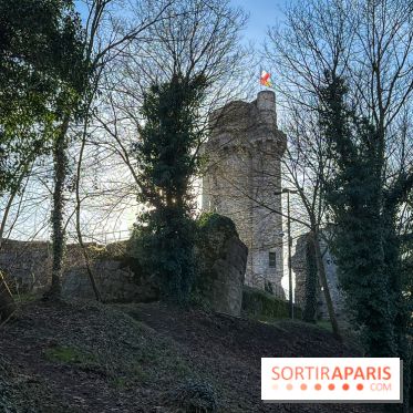 Ile-de-France : La Tour de Montlhéry au panorama unique sur l'Essonne - Flow IMG 20260208 152844 01 125