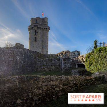 Ile-de-France : La Tour de Montlhéry au panorama unique sur l'Essonne - IMG 0603