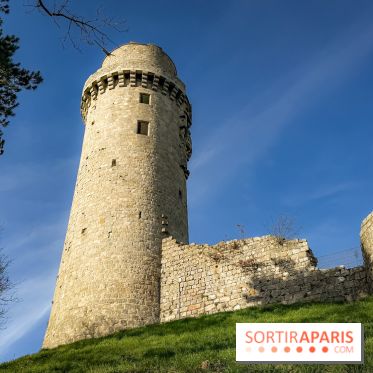 Ile-de-France : La Tour de Montlhéry au panorama unique sur l'Essonne