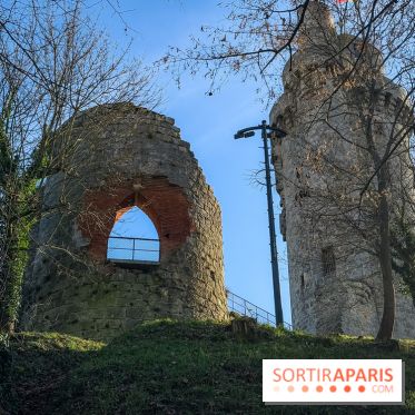 Ile-de-France : La Tour de Montlhéry au panorama unique sur l'Essonne - IMG 0589