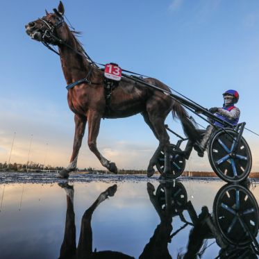 Le Carnaval de Rio de Janeiro à paris : le 15 février le Brésil s'invite à l’Hippodrome Paris-Vincennes ! - BV BV1 7228