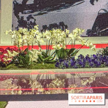 Six Invitational 2026 - IMG 3755