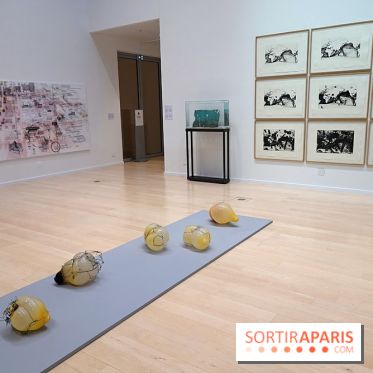 Exposition Contraste et indifférence au Centre culturel canadien - nos photos