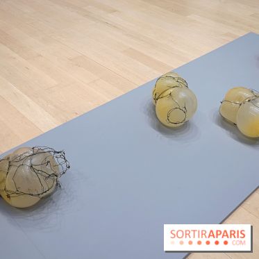 Exposition Contraste et indifférence au Centre culturel canadien - nos photos