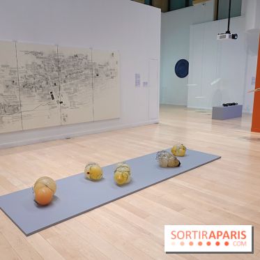 Exposition Contraste et indifférence au Centre culturel canadien - nos photos