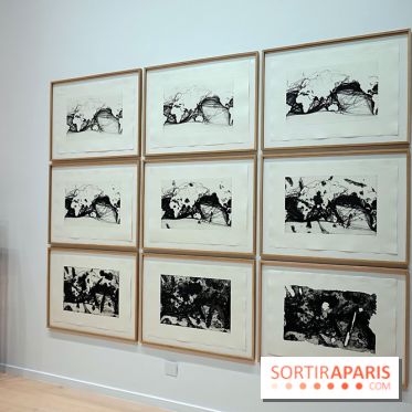 Exposition Contraste et indifférence au Centre culturel canadien - nos photos