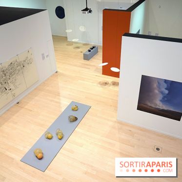 Exposition Contraste et indifférence au Centre culturel canadien - nos photos