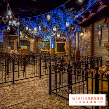 Frozen Ever After : l'attraction La Reine des Neiges à Disneyland Paris - IMG 3836