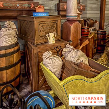 Frozen Ever After : l'attraction La Reine des Neiges à Disneyland Paris - IMG 3843