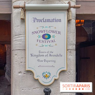 Frozen Ever After : l'attraction La Reine des Neiges à Disneyland Paris
