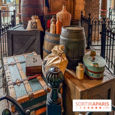 Frozen Ever After : l'attraction La Reine des Neiges à Disneyland Paris - IMG 3817