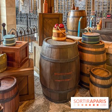 Frozen Ever After : l'attraction La Reine des Neiges à Disneyland Paris - IMG 3818