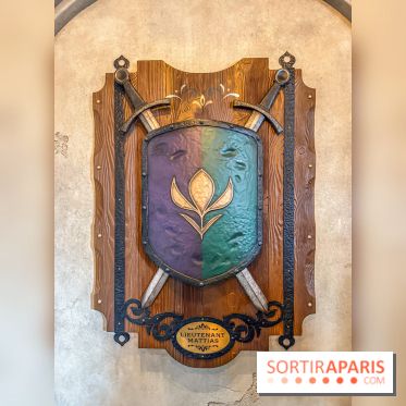 Frozen Ever After : l'attraction La Reine des Neiges à Disneyland Paris - IMG 3819