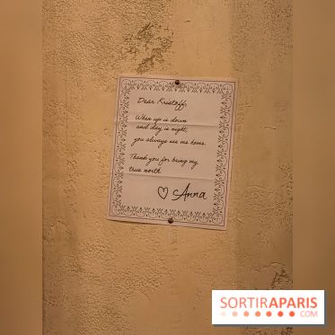 Frozen Ever After : l'attraction La Reine des Neiges à Disneyland Paris - IMG 3833