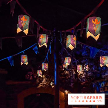 Frozen Ever After : l'attraction La Reine des Neiges à Disneyland Paris - IMG 3837