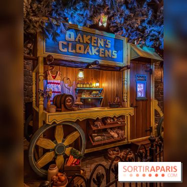 Frozen Ever After : l'attraction La Reine des Neiges à Disneyland Paris - IMG 3839