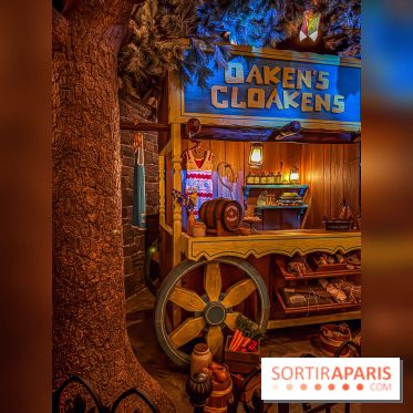 Frozen Ever After : l'attraction La Reine des Neiges à Disneyland Paris - IMG 3840