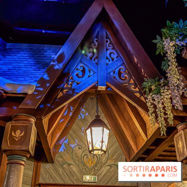 Frozen Ever After : l'attraction La Reine des Neiges à Disneyland Paris - IMG 3845