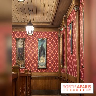 Frozen Ever After : l'attraction La Reine des Neiges à Disneyland Paris - IMG 3846