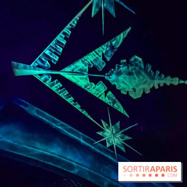 Frozen Ever After : l'attraction La Reine des Neiges à Disneyland Paris - IMG 3867