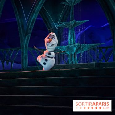 Frozen Ever After : l'attraction La Reine des Neiges à Disneyland Paris