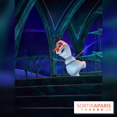 Frozen Ever After : l'attraction La Reine des Neiges à Disneyland Paris