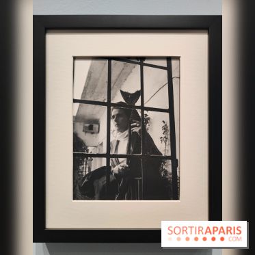 Leonora Carrington, l'exposition onirique d'une artiste surréaliste au musée du Luxembourg, photos - fotor 1771255375376