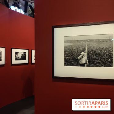Sebastião Salgado au cœur d'une exposition de photos gratuite à l'Hôtel de Ville de Paris