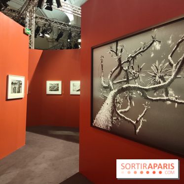 Sebastião Salgado au cœur d'une exposition de photos gratuite à l'Hôtel de Ville de Paris
