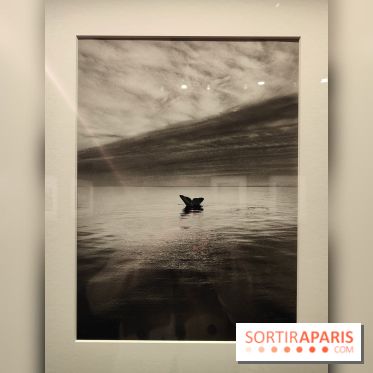 Sebastião Salgado au cœur d'une exposition de photos gratuite à l'Hôtel de Ville de Paris