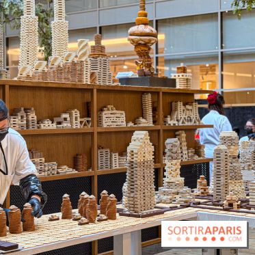 Song Dong  - IMG 4156