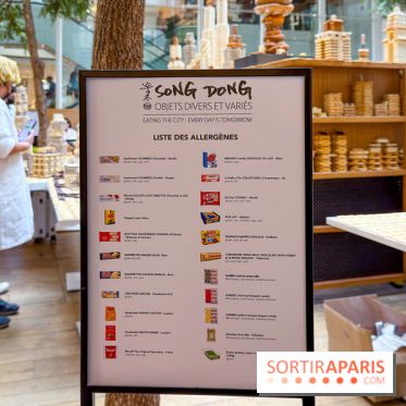 Song Dong  - IMG 4188