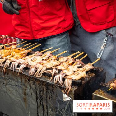 Nouvel an Chinois - Lunaire Place de la République 2026 - les photos