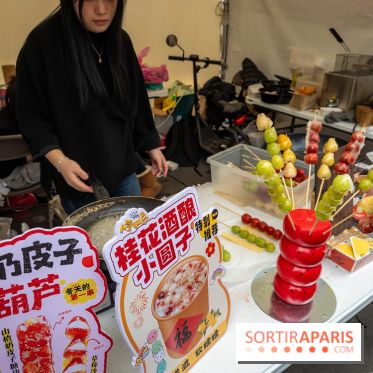 Nouvel an Chinois - Lunaire Place de la République 2026 - les photos