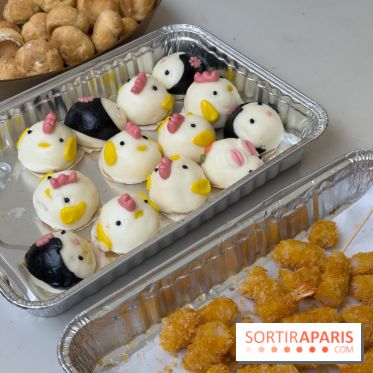 Nouvel an Chinois - Lunaire Place de la République 2026 - les photos - IMG 1475