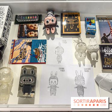 Exposition Labubu à Paris : THE MONSTERS fête ses 10 ans lors d’une rétrospective - IMG 4285
