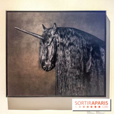 Licornes ! : l’exposition du Musée de Cluny à Paris explore le mythe de la créature légendaire