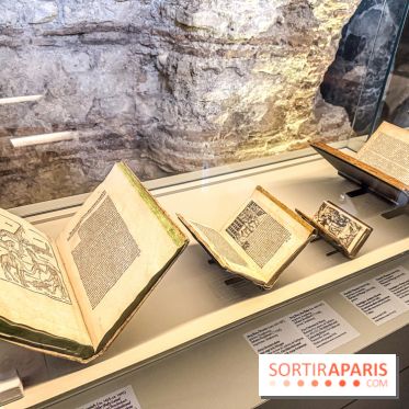 Licornes ! : l’exposition du Musée de Cluny à Paris explore le mythe de la créature légendaire - IMG 4429